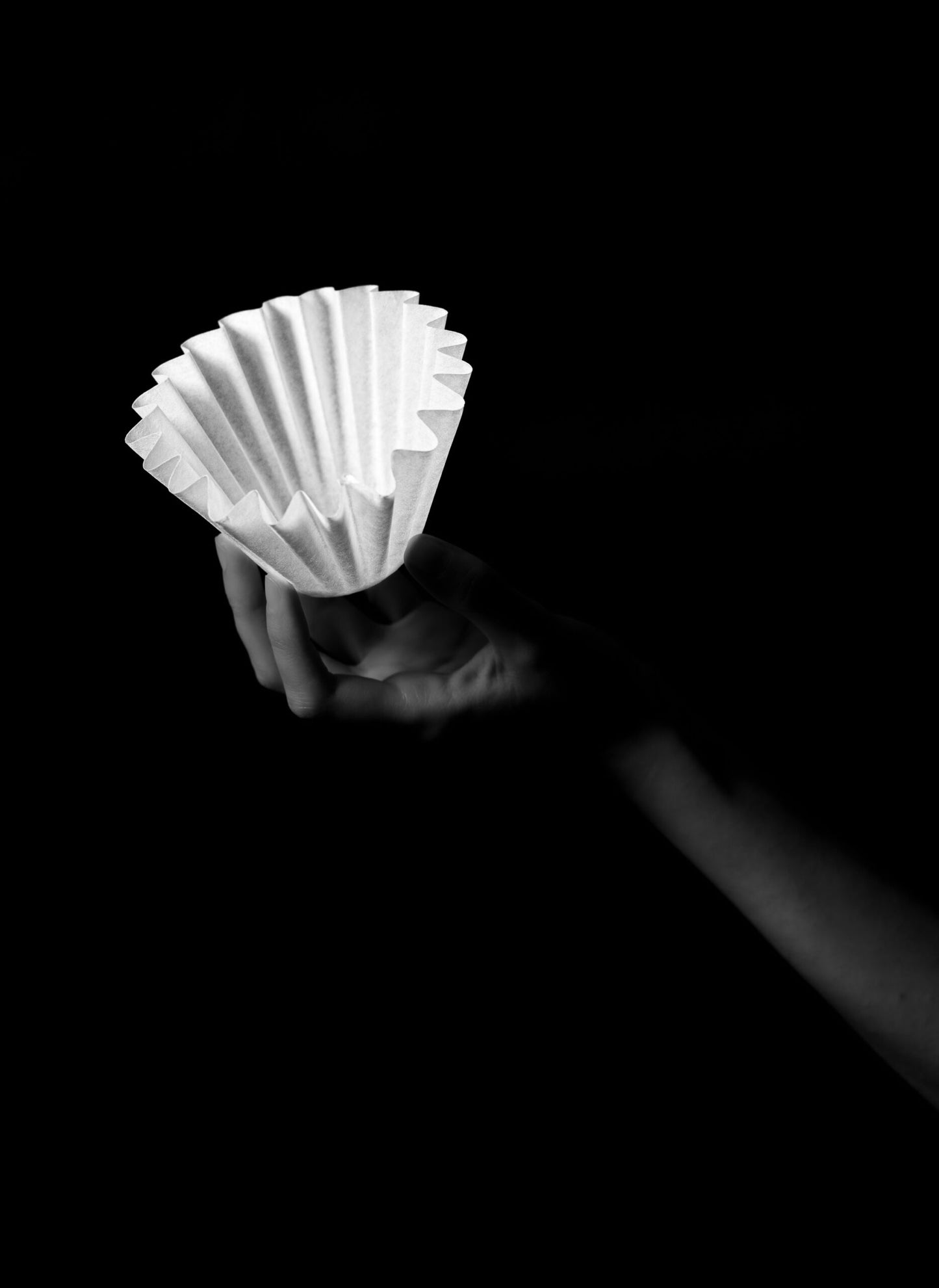 WAVE