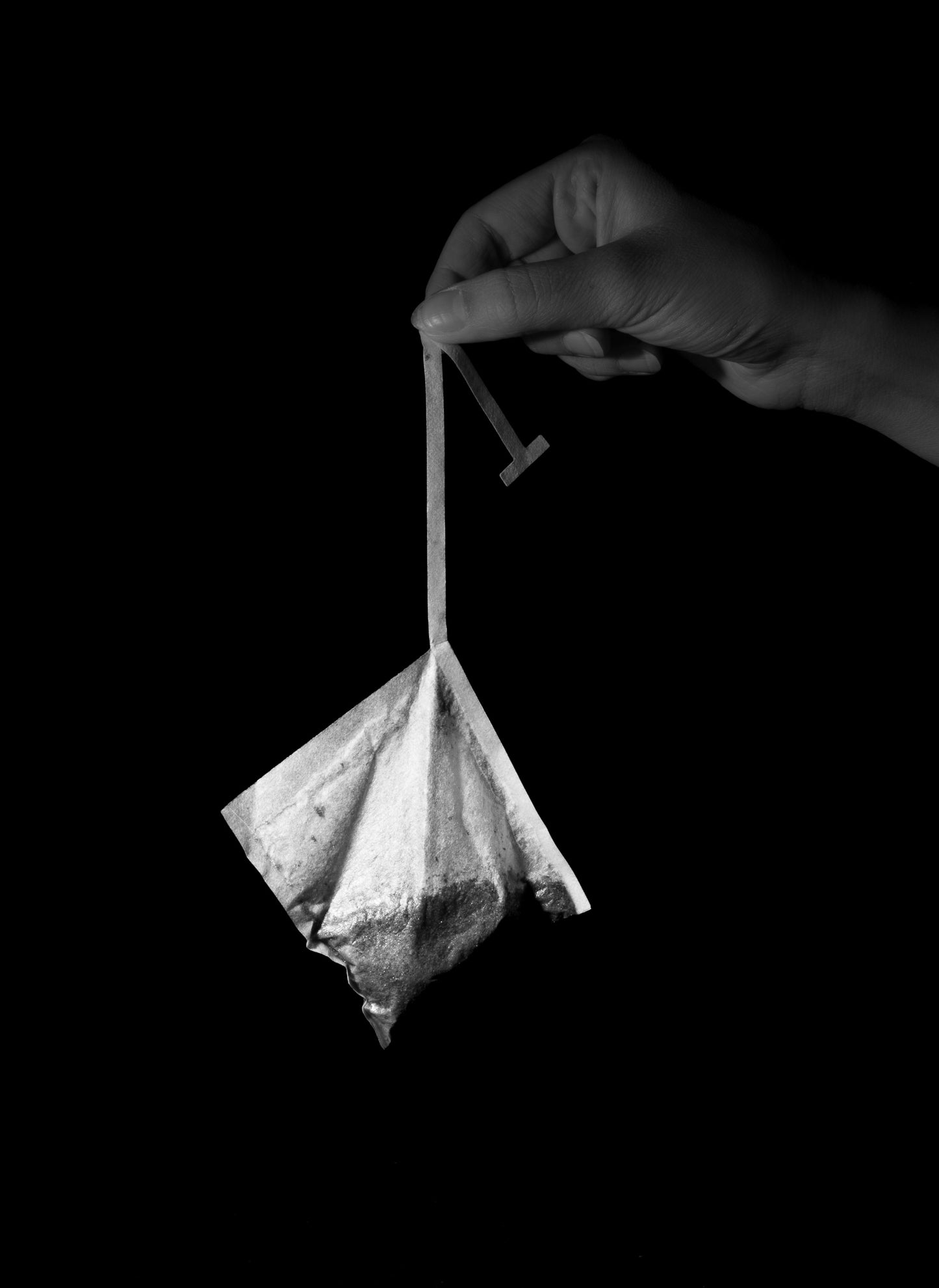 IMMERSION BAG READY-TO-USE